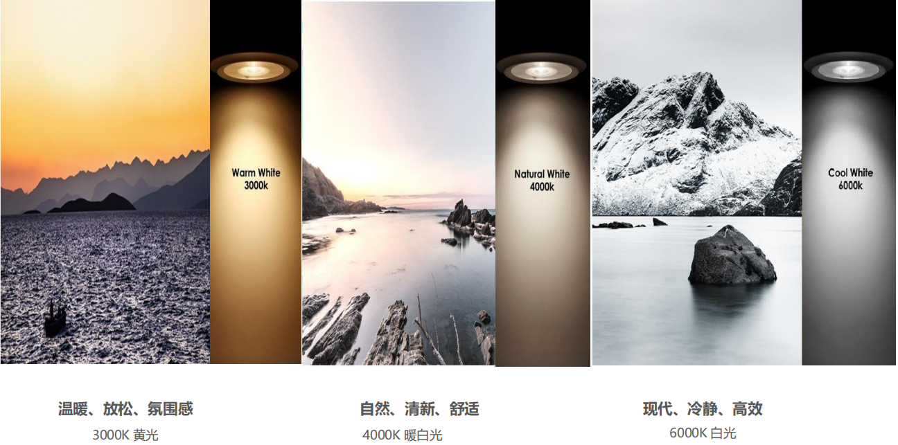 【設計案例】普照國康醫(yī)藥辦公室項目概念設計——以空間敘事，筑品牌基因(圖26)